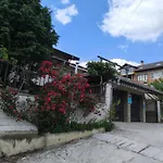 делфини Varna