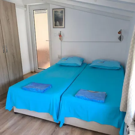 делфини Couette-café Varna