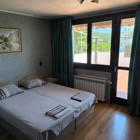делфини Couette-café Varna