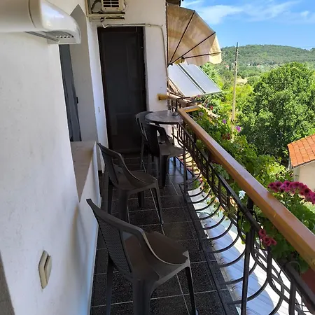 делфини Varna