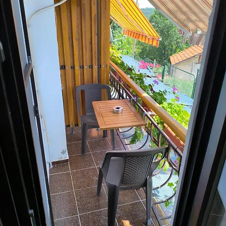 Oda ve Kahvaltı делфини Varna