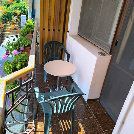 Oda ve Kahvaltı делфини