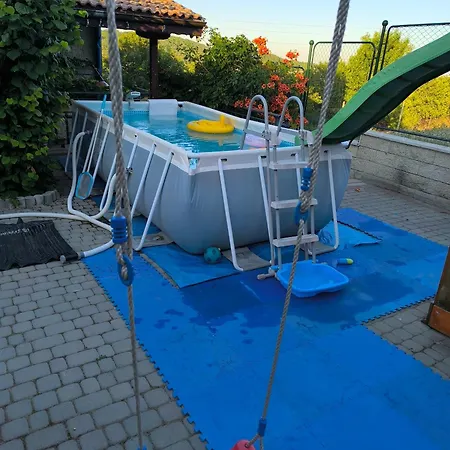 Oda ve Kahvaltı делфини Varna