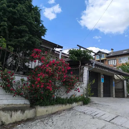 делфини Варна